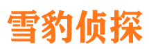 来宾市侦探调查公司